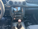 Thumbnail image of 2019 Ford Mustang at Newins Bay Shore Ford
