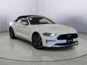 Thumbnail image of 2023 Ford Mustang at Seelye Ford of Kalamazoo