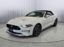 Thumbnail image of 2023 Ford Mustang at Seelye Ford of Kalamazoo