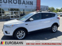 Thumbnail image of 2019 Ford Escape at EurobahnBmwMiniMercedesBenz of Greensboro, NC