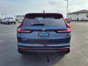 Thumbnail image of 2023 Honda CR-V at Bill Kay Honda