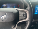 Thumbnail image of 2023 Ford Bronco at Triple M Motors