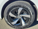 Thumbnail image of 2024 Jaguar F-PACE at Piazza Jaguar Land Rover Willow Grove