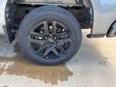 Thumbnail image of 2023 Chevrolet Silverado 1500 at Jay Hatfield Chevrolet Buick