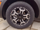 Thumbnail image of 2025 Hyundai SANTA CRUZ at Jack Carrolls Skagit Hyundai - NEW