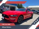 Thumbnail image of 2019 Ford Mustang at Wilson Motors