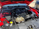 Thumbnail image of 2019 Ford Mustang at Wilson Motors