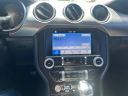 Thumbnail image of 2019 Ford Mustang at Wilson Motors