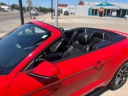 Thumbnail image of 2019 Ford Mustang at Wilson Motors