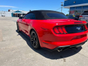 Thumbnail image of 2019 Ford Mustang at Wilson Motors