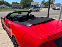 Thumbnail image of 2019 Ford Mustang at Wilson Motors