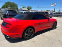 2019 Ford Mustang EcoBoost Premium at Wilson Motors