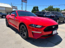 Thumbnail image of 2019 Ford Mustang at Wilson Motors