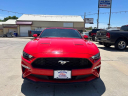 Thumbnail image of 2019 Ford Mustang at Wilson Motors