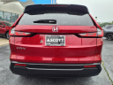 Thumbnail image of 2023 Honda CR-V at Scott Honda Of Vineland