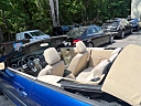 Thumbnail image of 2008 Ford Mustang at United Global Imports