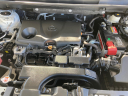 Thumbnail image of 2021 Toyota RAV4 at Cavender Toyota