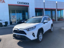 2021 Toyota RAV4 XLE at Cavender Toyota