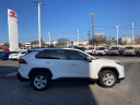 Thumbnail image of 2021 Toyota RAV4 at Cavender Toyota