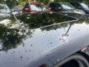 Thumbnail image of 2016 Lincoln MKZ at Lia Hyundai