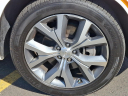 Thumbnail image of 2021 Hyundai PALISADE at Maxon Hyundai Inc.