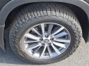 Thumbnail image of 2019 Toyota Highlander at Dayton Toyota Scion