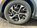 Thumbnail image of 2023 Kia Sportage at Spitzer Kia