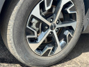 Thumbnail image of 2023 Kia Sportage at Spitzer Kia