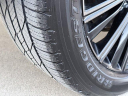 Thumbnail image of 2019 INFINITI QX80 at Absolute Auto Center