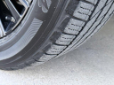Thumbnail image of 2019 INFINITI QX80 at Absolute Auto Center