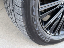 Thumbnail image of 2019 INFINITI QX80 at Absolute Auto Center
