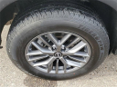 Thumbnail image of 2023 Nissan Rogue at Grand Blanc Nissan