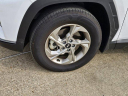 Thumbnail image of 2024 Hyundai TUCSON at MikeMorganHyundai-NEW of Shreveport, LA