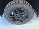 Thumbnail image of 2024 Chevrolet Silverado 1500 at Lynn Layton Chevrolet