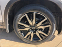 Thumbnail image of 2022 Honda Pilot at Langdale Hyundai Of South Georgia - NEW