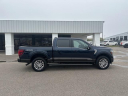 Thumbnail image of 2024 Ford F-150 at Gary Smith Ford