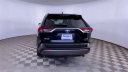 Thumbnail image of 2019 Toyota RAV4 at Jim Riehl's Friendly Honda