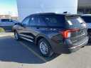 Thumbnail image of 2025 Ford Explorer at Courtesy Ford Lincoln