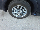 Thumbnail image of 2024 INFINITI QX80 at Kia of Cape Coral