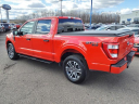 Thumbnail image of 2023 Ford F-150 at Link Ford Of Rice Lake