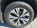 Thumbnail image of 2022 Nissan Rogue at Faulkner Subaru Bethlehem Used