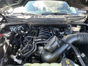 Thumbnail image of 2024 Ford F-150 at Dana Ford Lincoln