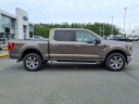 Thumbnail image of 2023 Ford F-150 at Wayne County Ford
