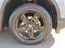 Thumbnail image of 2022 Honda Ridgeline at Hamilton Honda