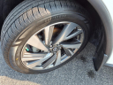 Thumbnail image of 2019 Nissan Murano at Hove  Buick / Gmc