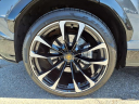 Thumbnail image of 2024 Lamborghini Urus at Nissan 46