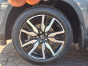 Thumbnail image of 2022 Honda Pilot at Kings Kia
