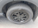 Thumbnail image of 2021 Ford Bronco Sport at Wilson Ford Lincoln