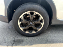 Thumbnail image of 2023 Subaru Crosstrek at Ridge Road Imports