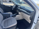 Thumbnail image of 2022 Ford Escape at BeauTownsendFord of Vandalia, OH
